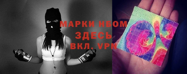 мет Алексин