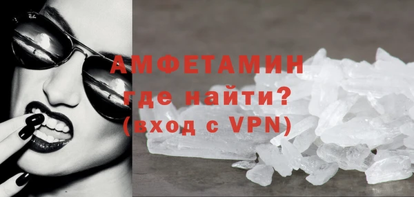 мет Алексин