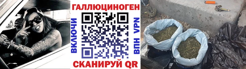 Псилоцибиновые грибы мухоморы  цена наркотик  Одинцово 